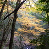 石柱渓