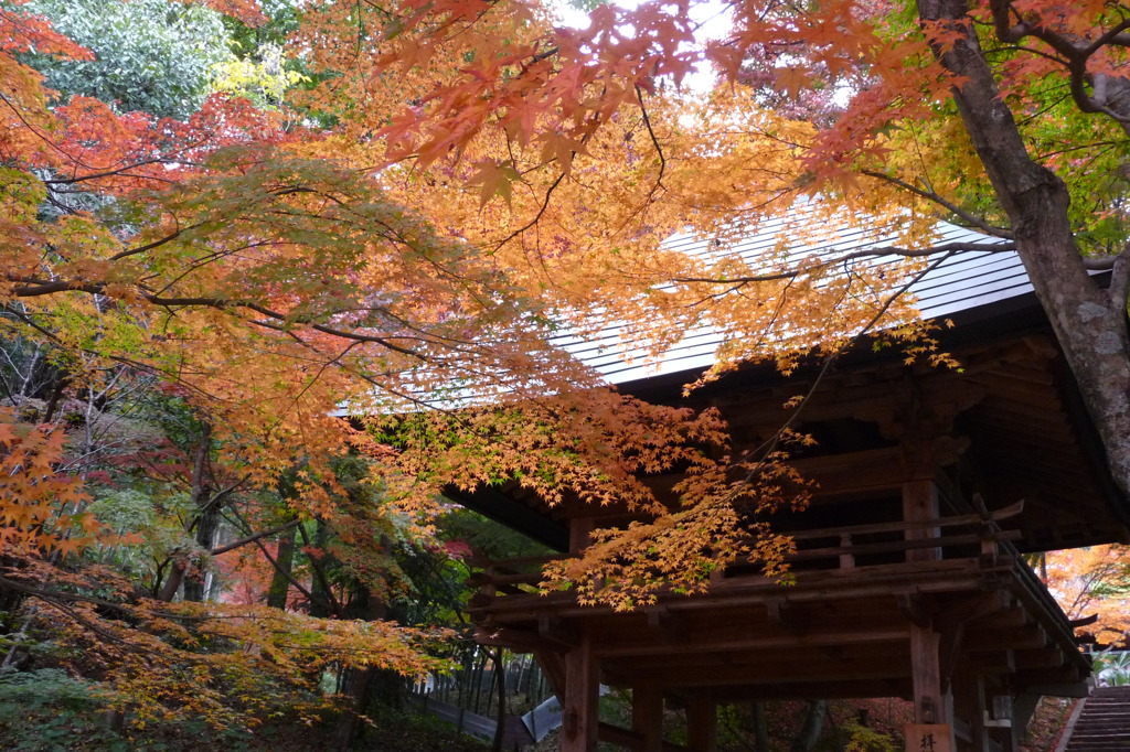 両足寺