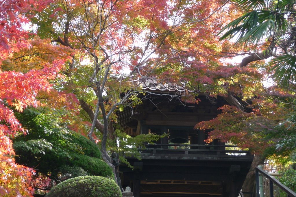来迎寺