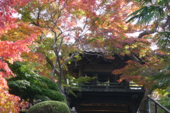 来迎寺
