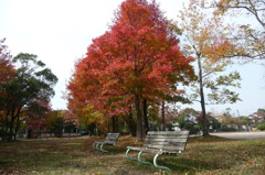 叶松児童公園