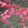石柱渓