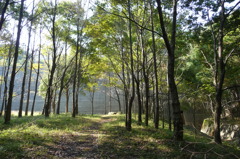 下方川砂防公園（下関市）