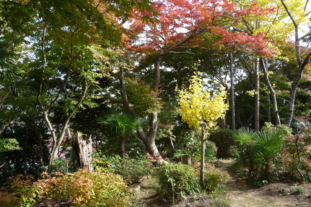 来迎寺