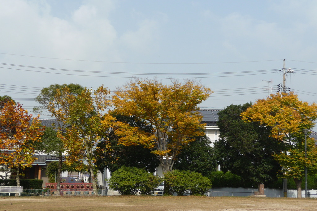 叶松児童公園
