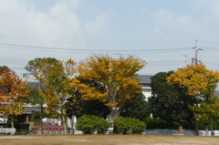 叶松児童公園