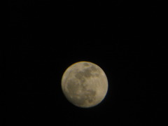 IMG_3475