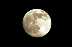 満月前夜②