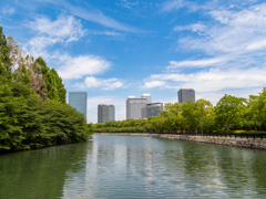 初夏の空