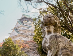 大阪城を望む