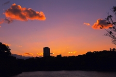 夕と夜