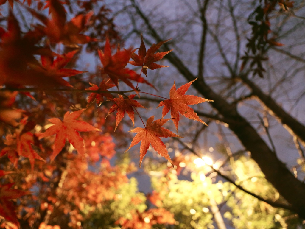 清水寺にて①