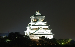 宵の大阪城①