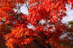 奈良公園にて