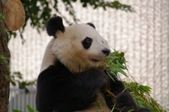 I神戸市立王子動物園にて