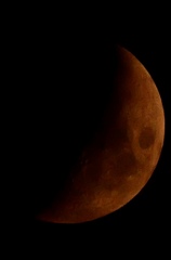 火星の真似？
