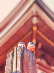 勝尾寺にて