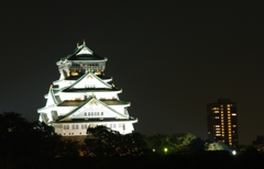 宵の大阪城②