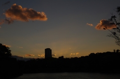晩秋の夕暮れ