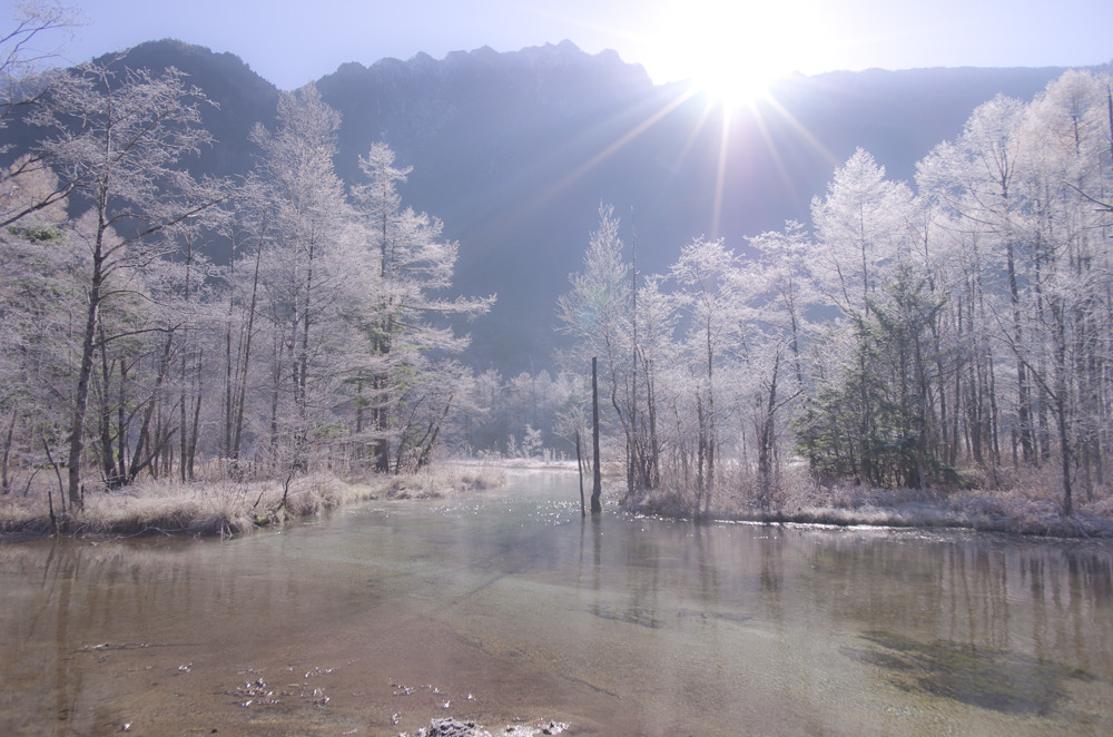 Winter Morning