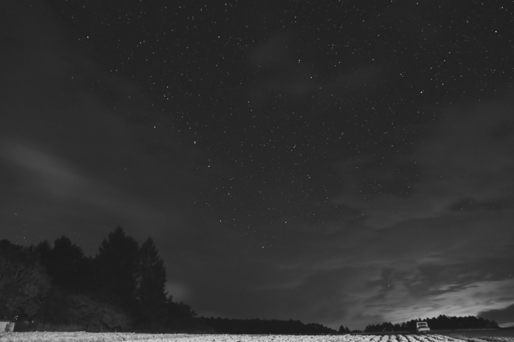 夜中のキャベツ畑