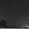 夜中のキャベツ畑