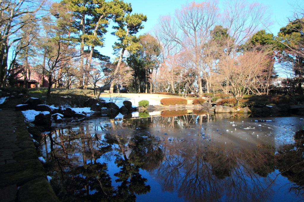 澄み切った水の中は・・・