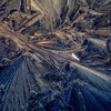 frost flowers 