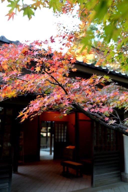 otaguro park