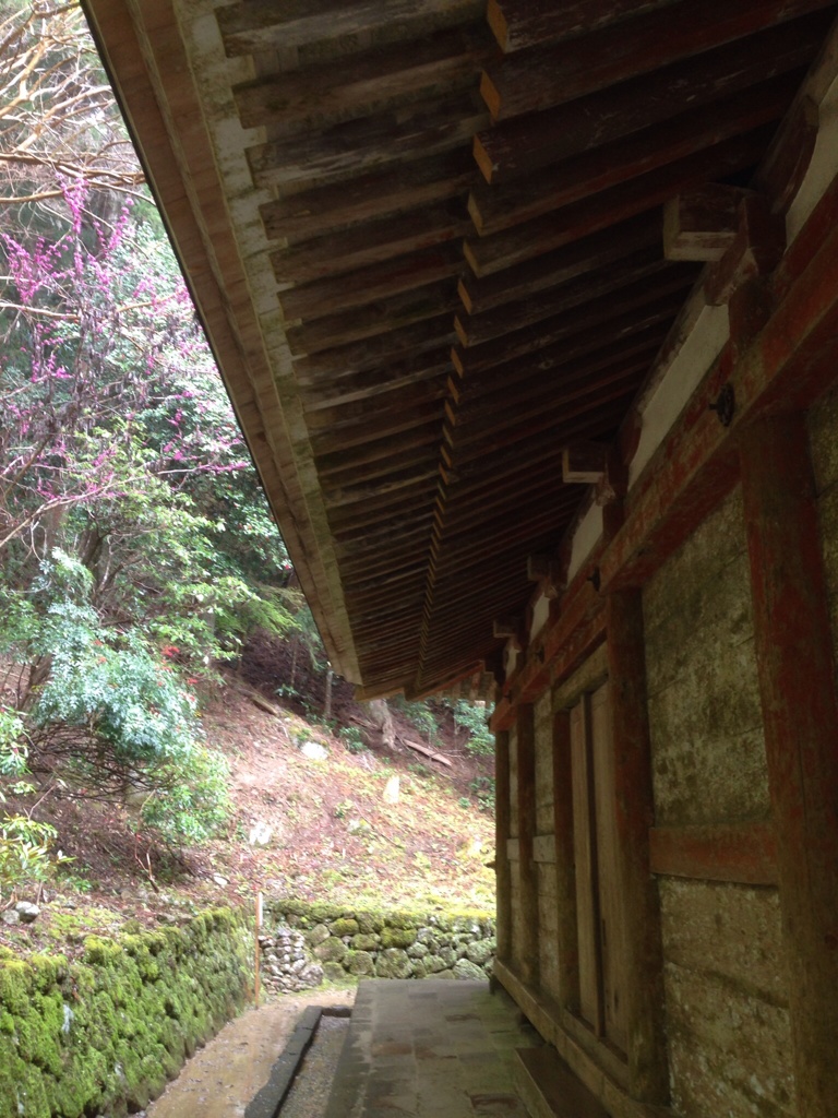 国宝 室生寺