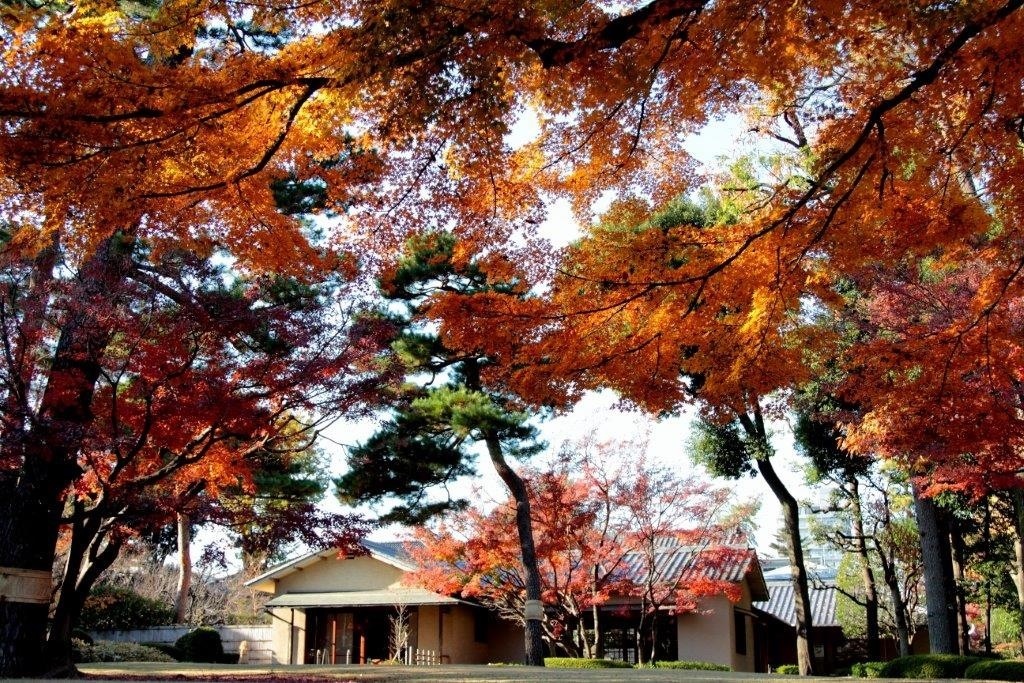 otaguro park