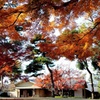 otaguro park