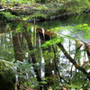 水鏡