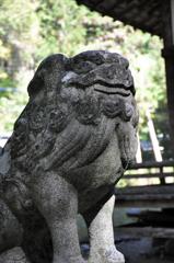狛犬ってカッコイイ