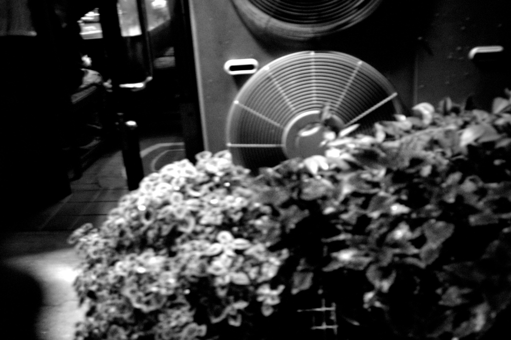 室外機と植物