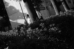 朝日をあびる、森の妖精