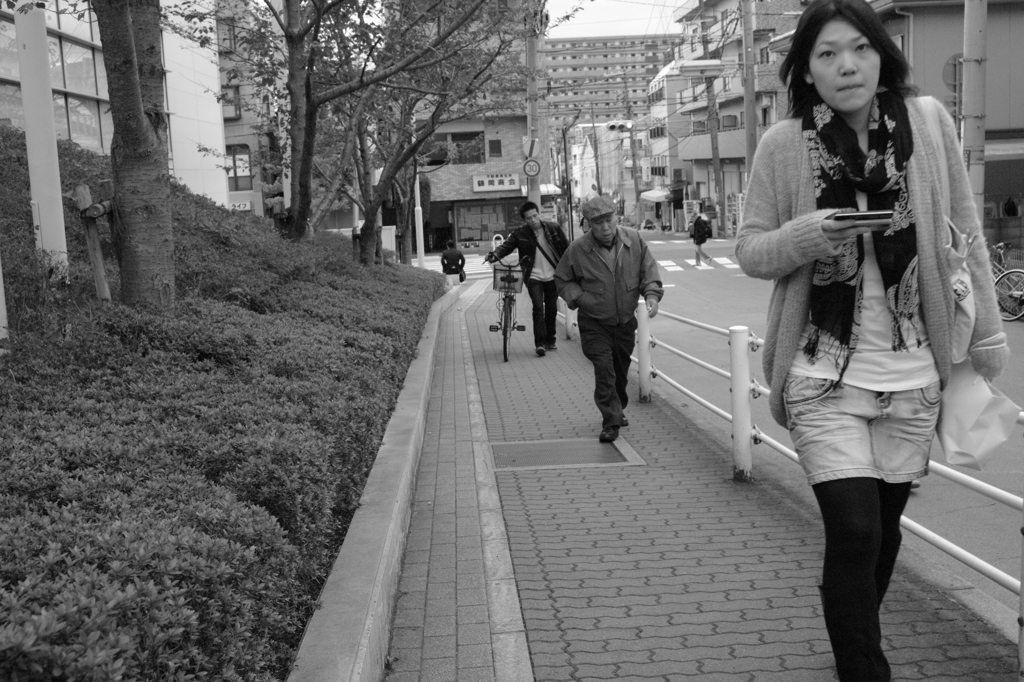 いきものがかり