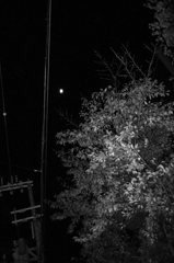 フラッシュ　バルブ　月