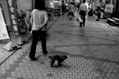 振り返り、微笑む