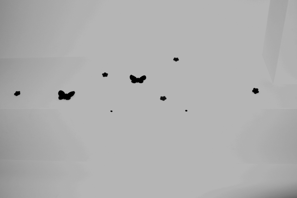 フラッシュ　バルブ　ちょうちょ