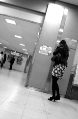 綺麗に撮れました