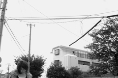 風の朝