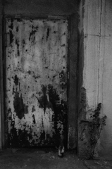 ドアと草とコロナ