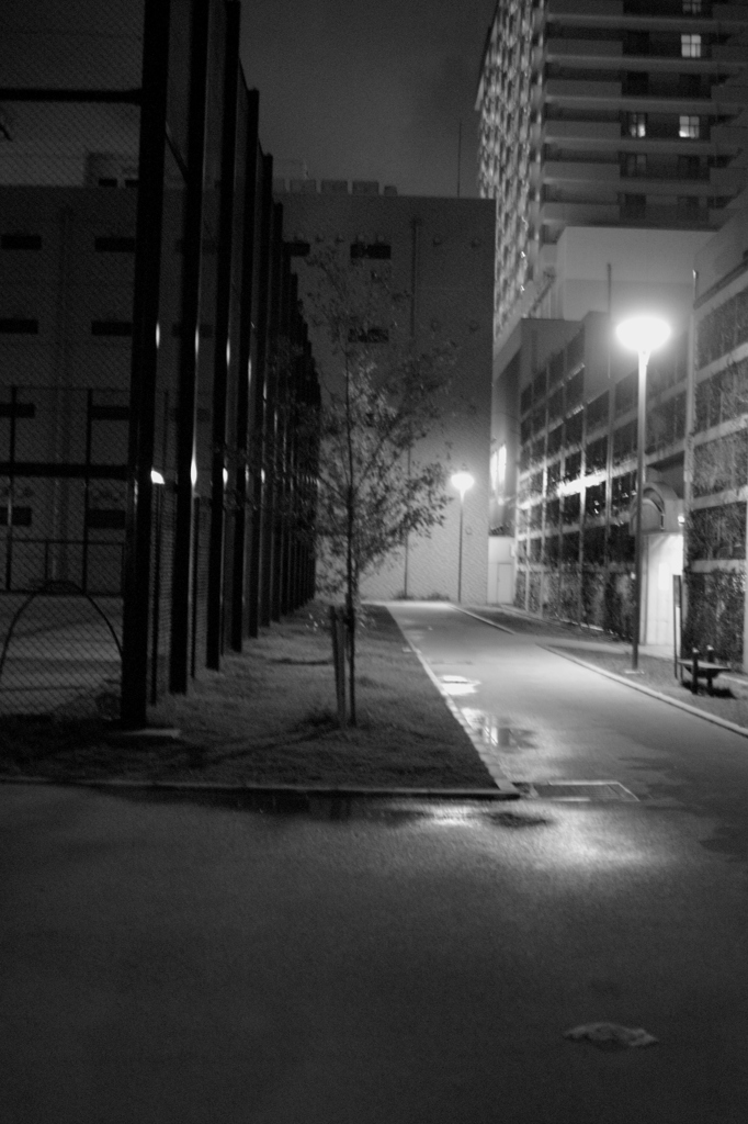 雨上がりの夜の公園
