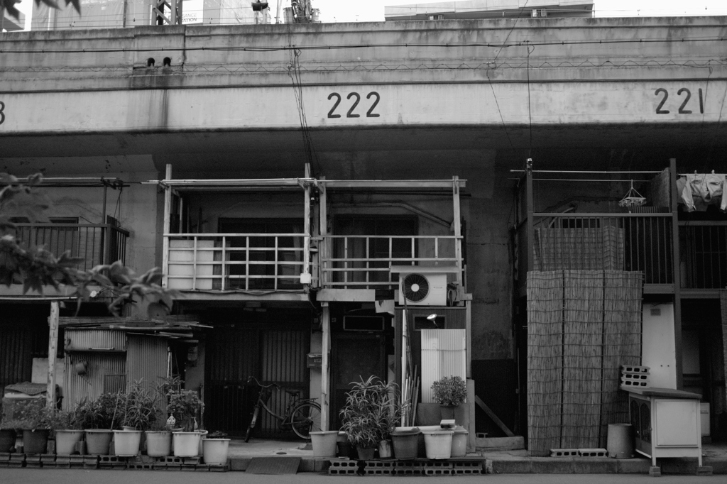 ２２２に住まう