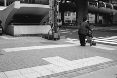 信号待ちの背中