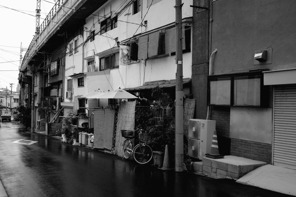 そこに息づく風景