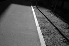 朝日に照らされる、わたしの歩む道