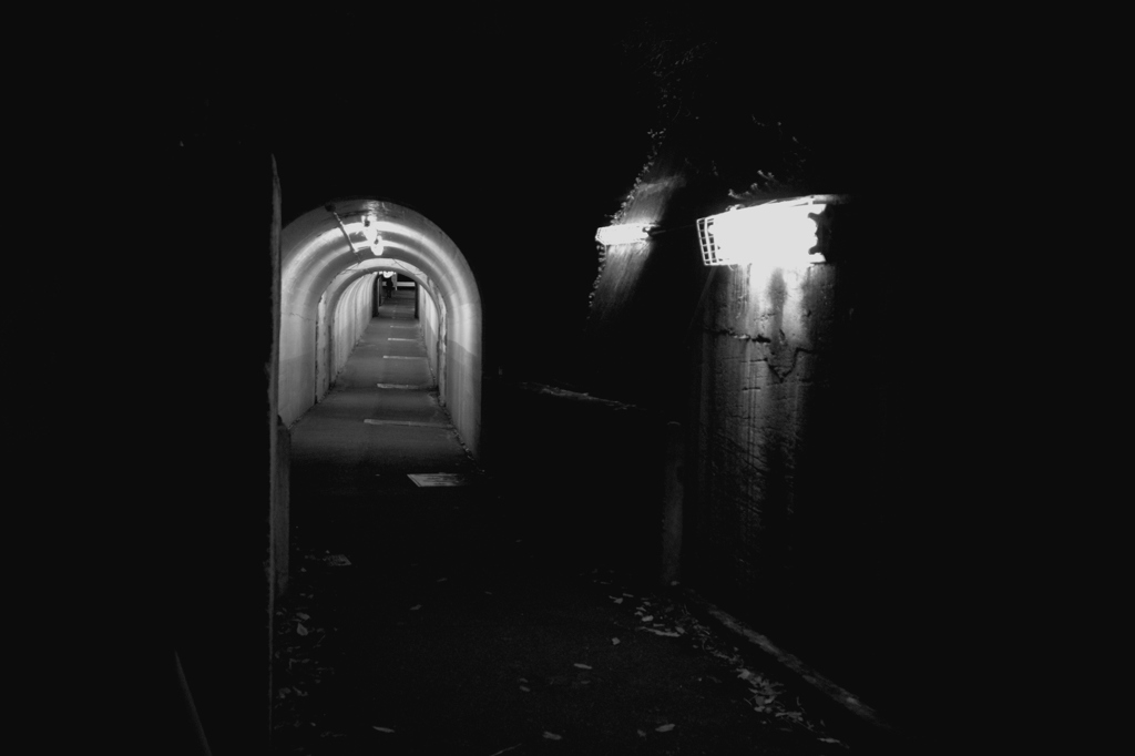 闇を恐れ必死に照らし出す