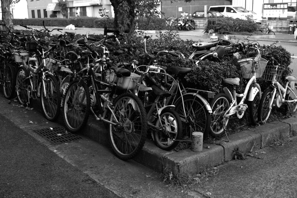 自転車置き場